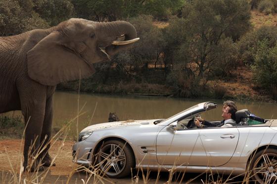 Natale_in_Sudafrica077328.jpg