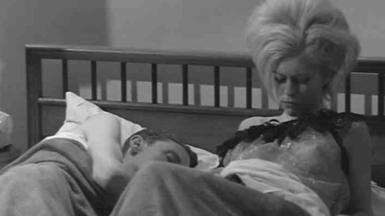 DIARIO VISIVO (Herschell Gordon Lewis)