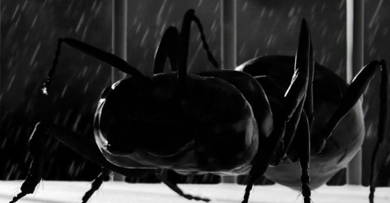 NIFFF 2017 - NEW SHORTS FROM ASIA