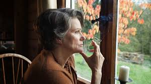 DIARIO VISIVO (Due Hanna, due scrittrici, due donne tedesche)