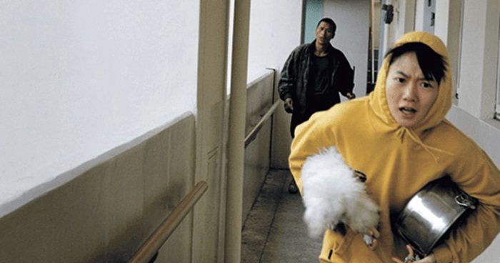 DOG SOUP