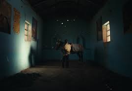 TORINO FILM FESTIVAL 2025