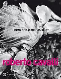 cavalli.jpg