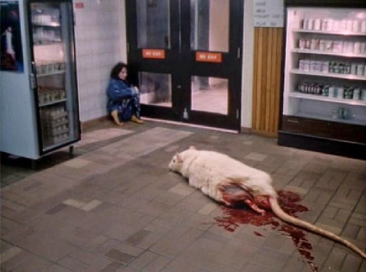 DIARIO VISIVO (When nature strikes back 8)