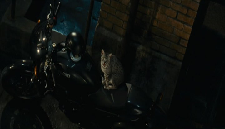 SPECIALE CATWOMAN