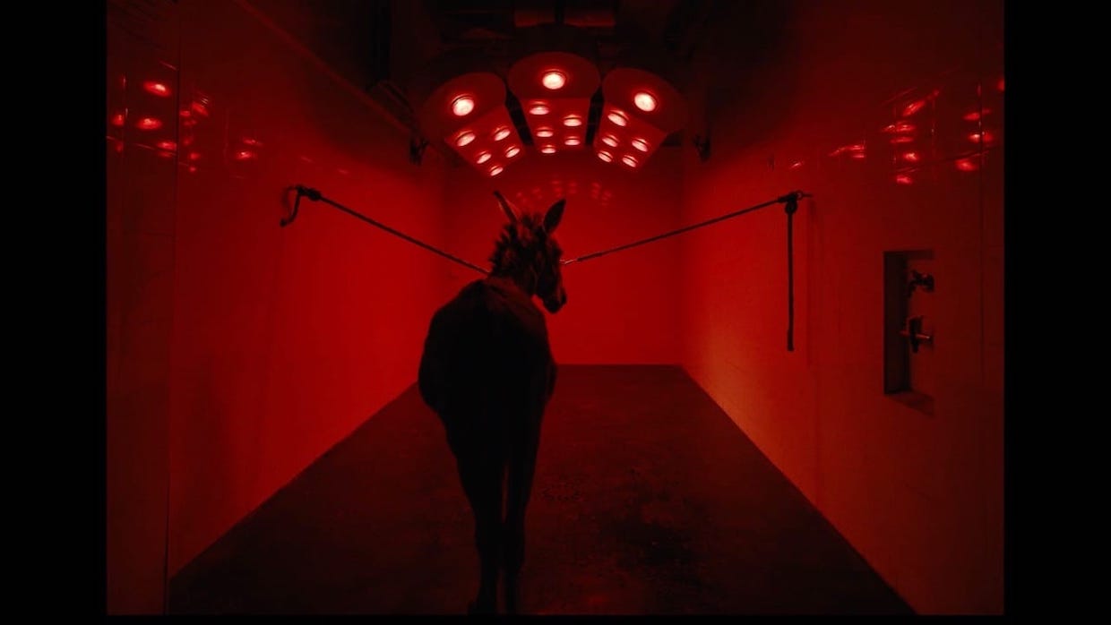 TORINO FILM FESTIVAL 2022