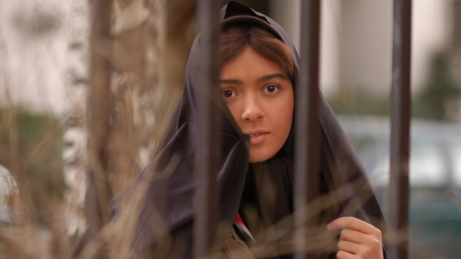DIARIO VISIVO (Asghar Farhadi, gli altri capolavori)