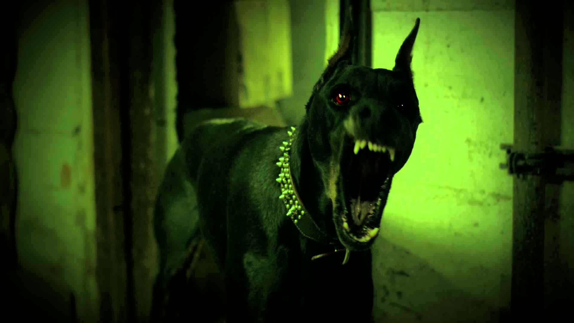 DYS HORROR