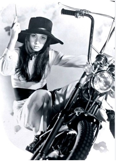 DIARIO VISIVO (Stray Cat Rock)