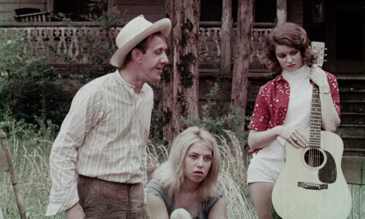 DIARIO VISIVO (Herschell Gordon Lewis)