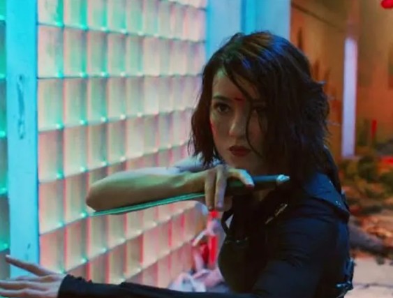 DIARIO VISIVO (Alcuni esempi del nuovo cinema action orientale in streaming)