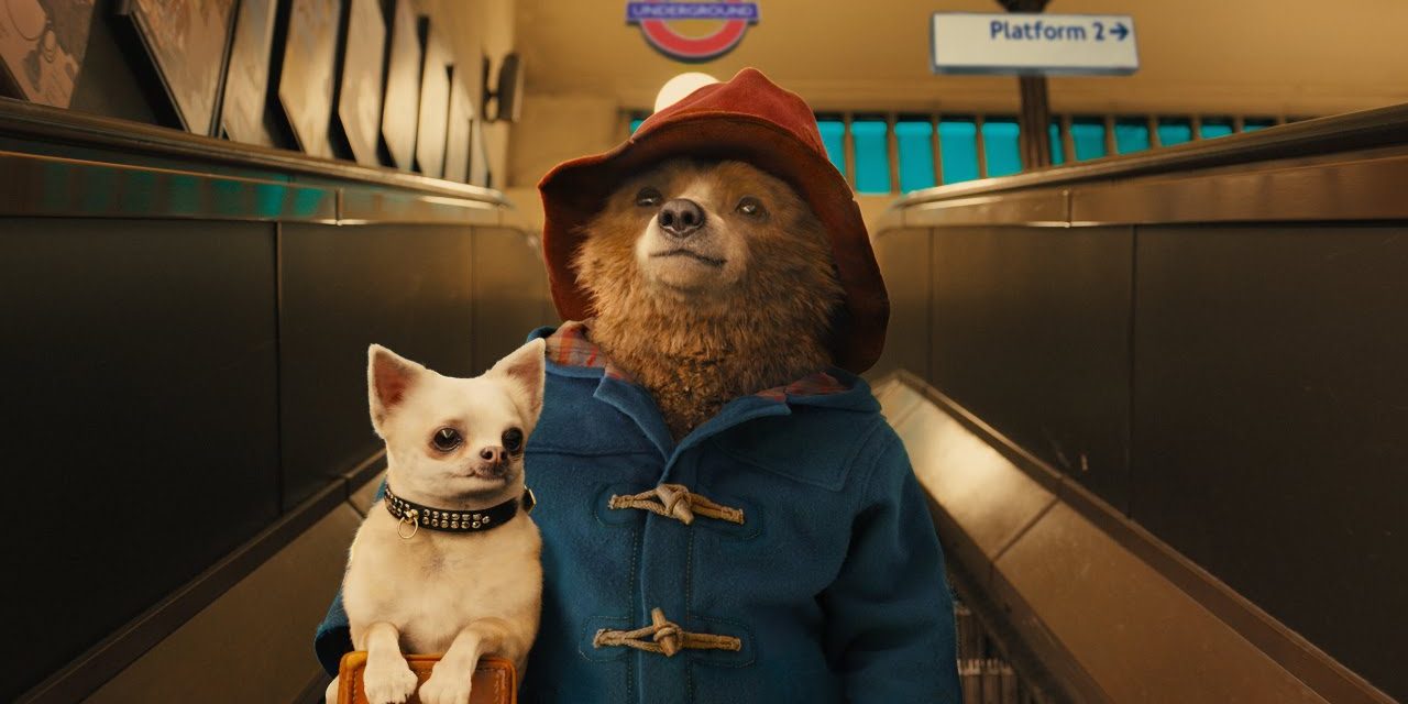 La compagnia di trasporti Samskip porta Paddington sul grande schermo