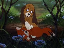 HOLIDAY DUO (21) FOX