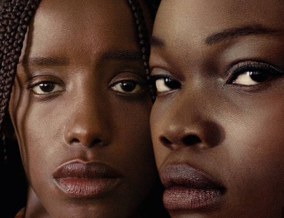 DIARIO VISIVO (Due film francesi, due modi di raccontare)