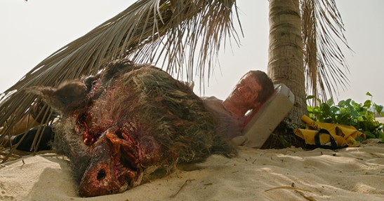 L'ISOLA DEGLI IMPIEGATI