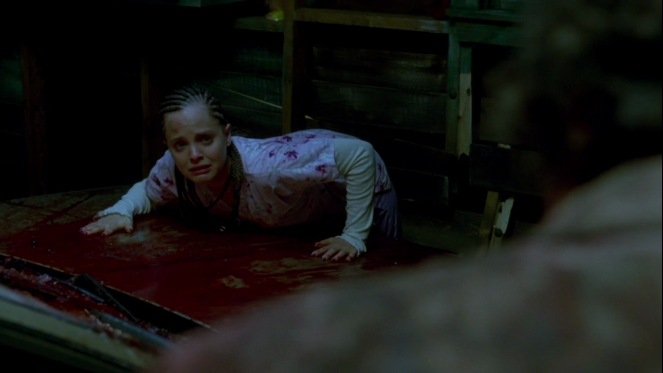 DIARIO VISIVO (Stuart Gordon)