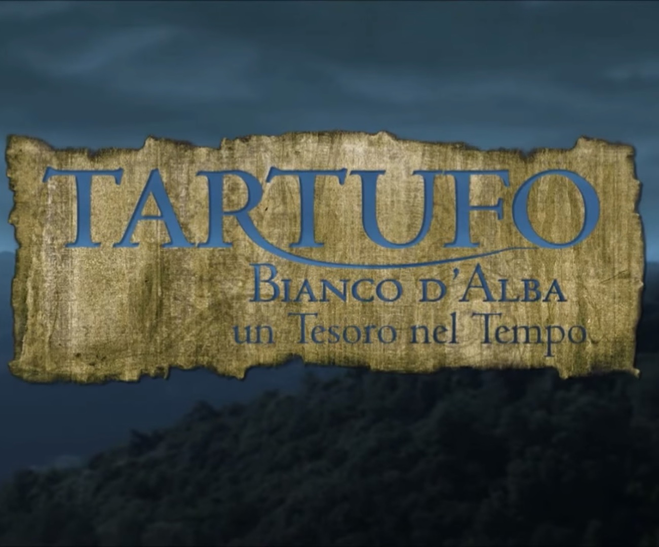 DSY CORTO