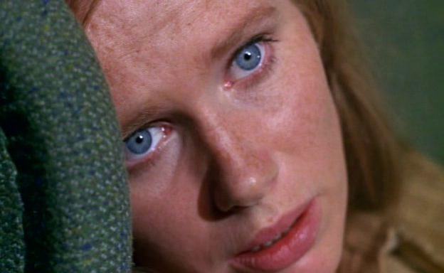 DIARIO VISIVO (Ingmar Bergman 10)
