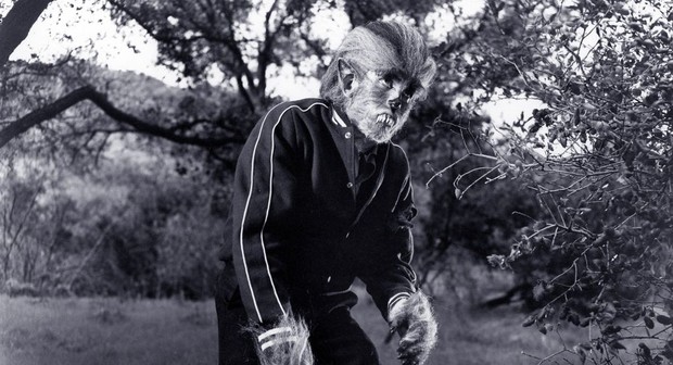 DIARIO VISIVO (Ken Miller)