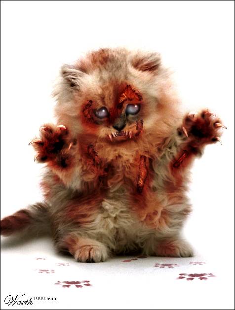 zombie-cat (1).jpg