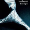 50_sfumature_di_grigio5012.jpg