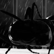 ants_strike4211.jpg