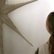 arrival3828.jpg
