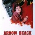arrow_beach4040.jpg