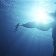 avatar_2_recensione_0013786.jpg