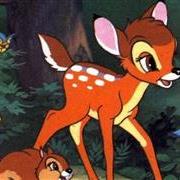 HOLYDAY DUO (10) BAMBI