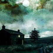 blight18024.jpg