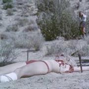 bushwhacker9416.jpg