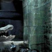 crawl3824.jpg