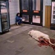 DIARIO VISIVO (When nature strikes back 8)