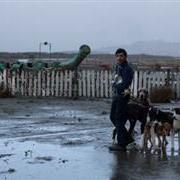 dogman8087.jpg