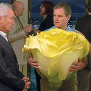 downsizing4525.jpg