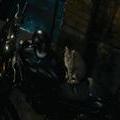 ducati catwoman 28425.jpg