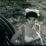 fanfa_la_tulipe_37660.jpg