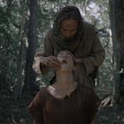 gaiafilm20218672.jpg