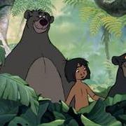 HOLYDAY DUO (8) GIUNGLA