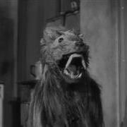 killer_shrews1266.jpg