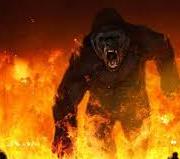 kong275.jpg