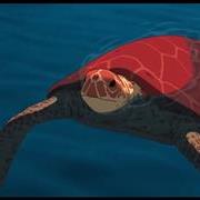 la_tortue_rouge7787.jpg