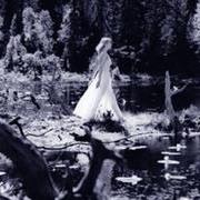 SPECIALE BFM - LAGHI MALEDETTI