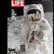 life_tex_norton6262.jpg