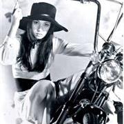 DIARIO VISIVO (Stray Cat Rock)