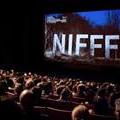 nifff5635.jpg