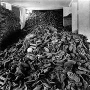 DIARIO VISIVO (Alain Resnais 1)