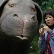 okja1671.jpg