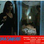 pura_sangre1187.jpg